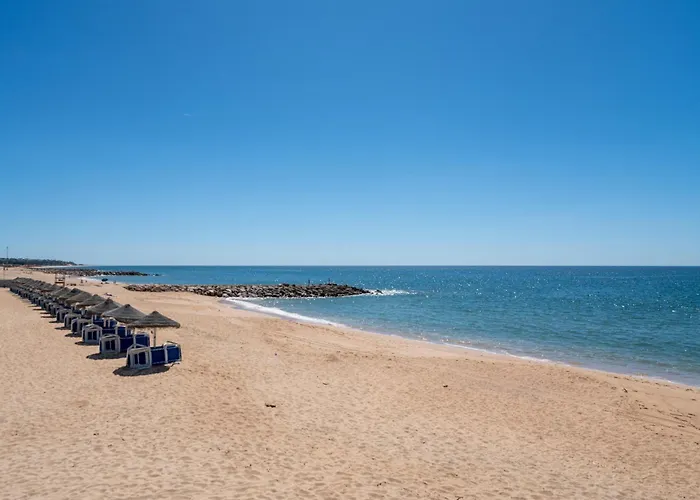 Zacarias By Ferias Com Sol *