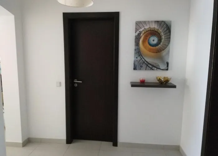 Zacarias By Ferias Com Sol